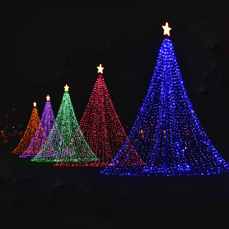 Photo for Drive Thru Holiday Lights 2020