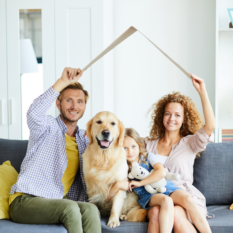A photo of a family with a child and dog